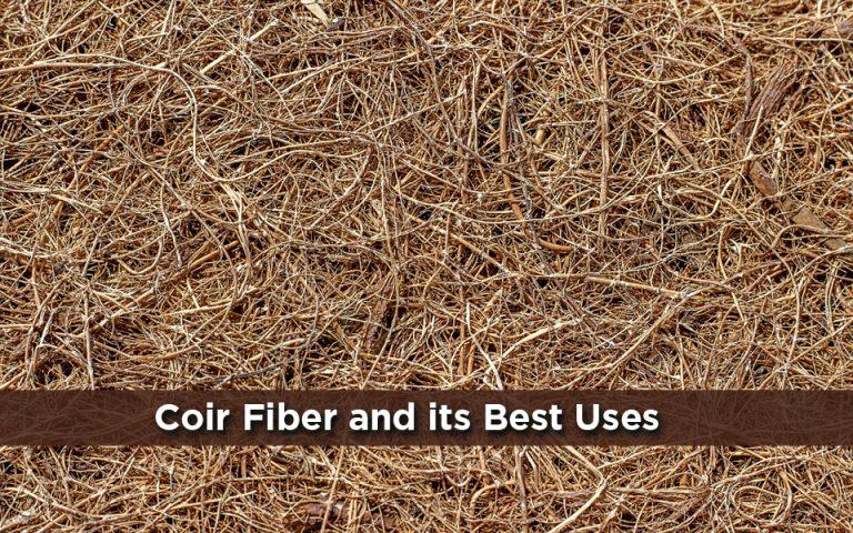 Coir Fiber and its Best Uses