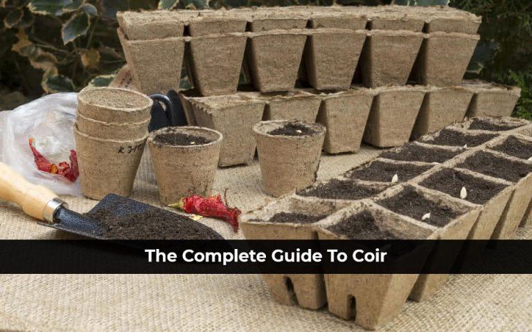 The Complete Guide To Coir