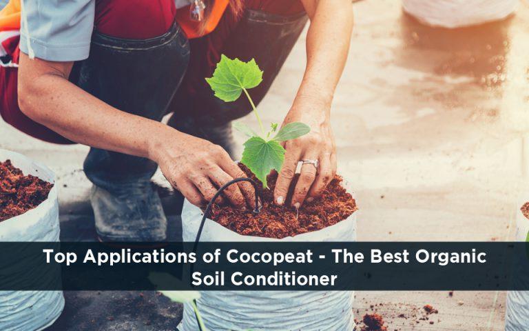 Cocopeat – The Best Organic Soil Conditioner
